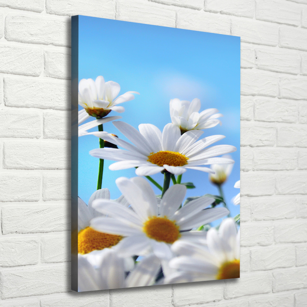 Large canvas wall art Daisy