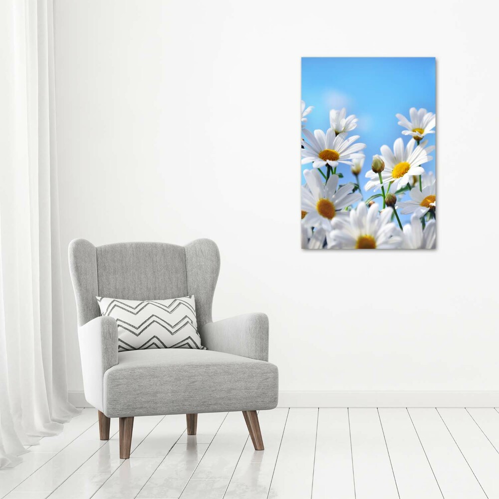 Large canvas wall art Daisy