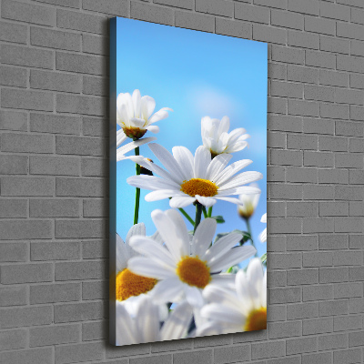 Large canvas wall art Daisy