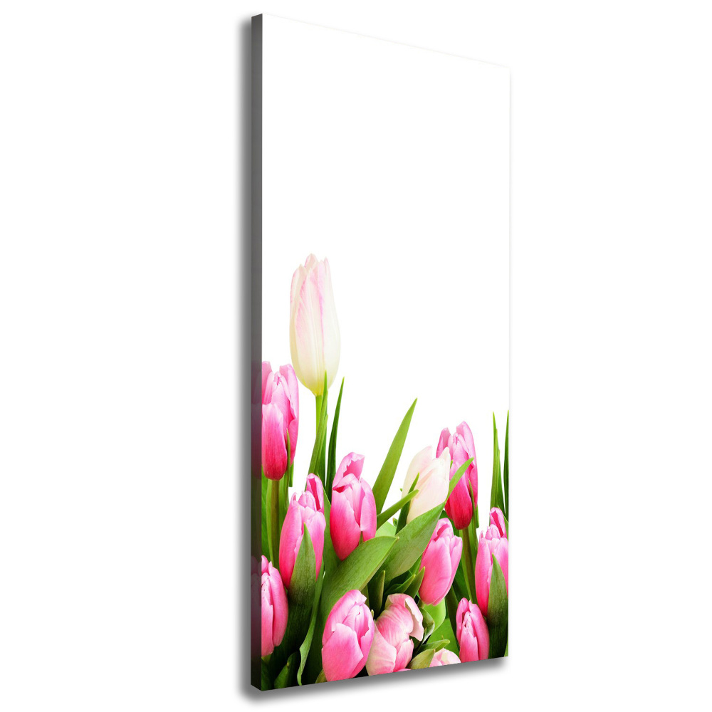 Canvas wall art Pink tulips