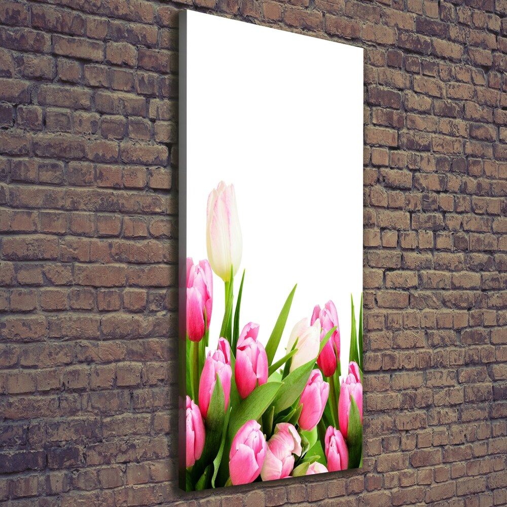 Canvas wall art Pink tulips