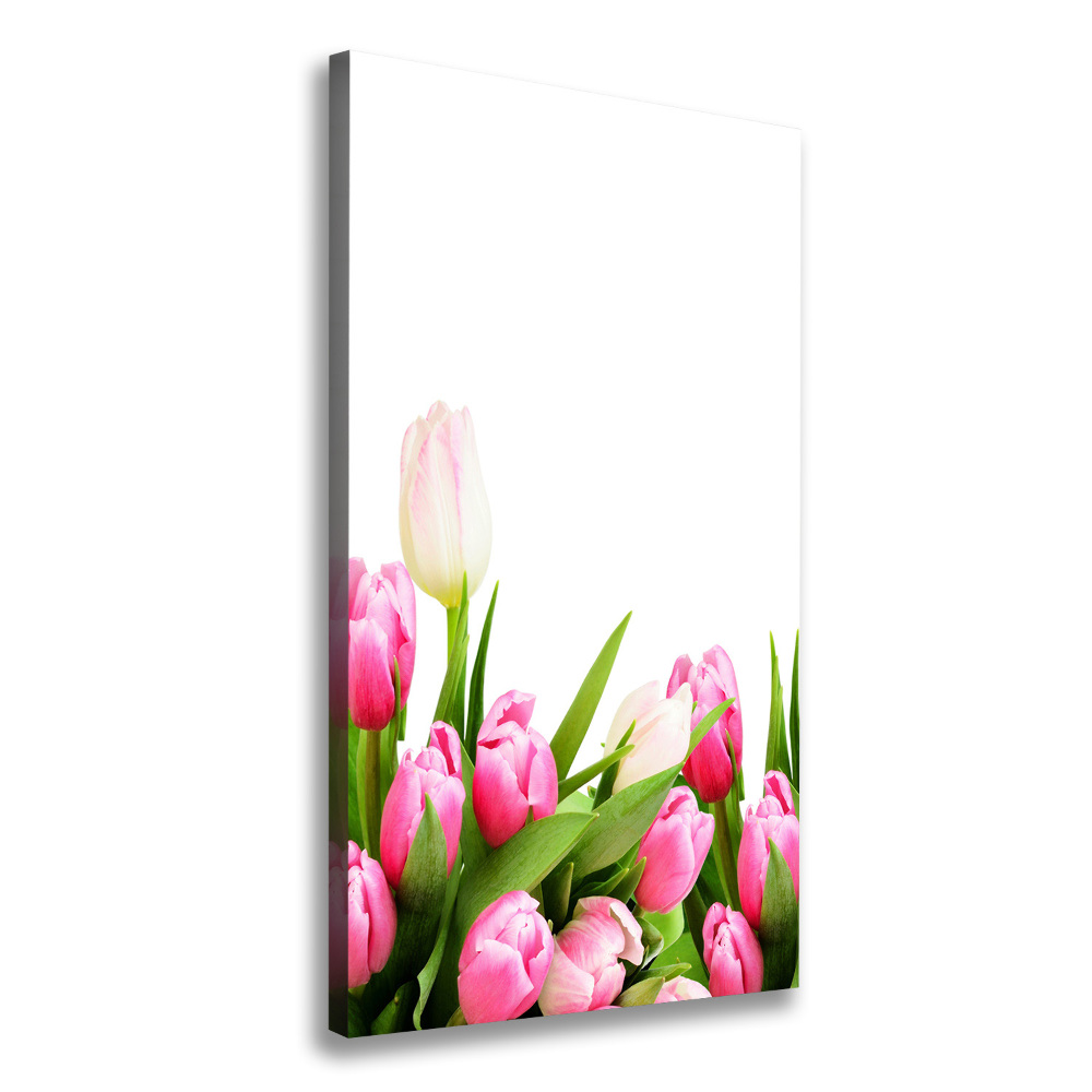 Canvas wall art Pink tulips