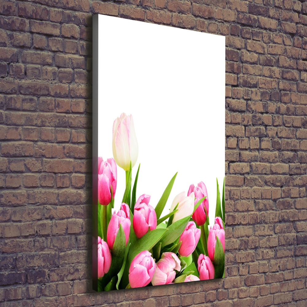 Canvas wall art Pink tulips