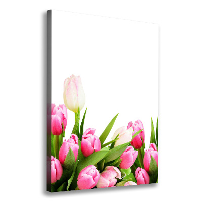 Canvas wall art Pink tulips