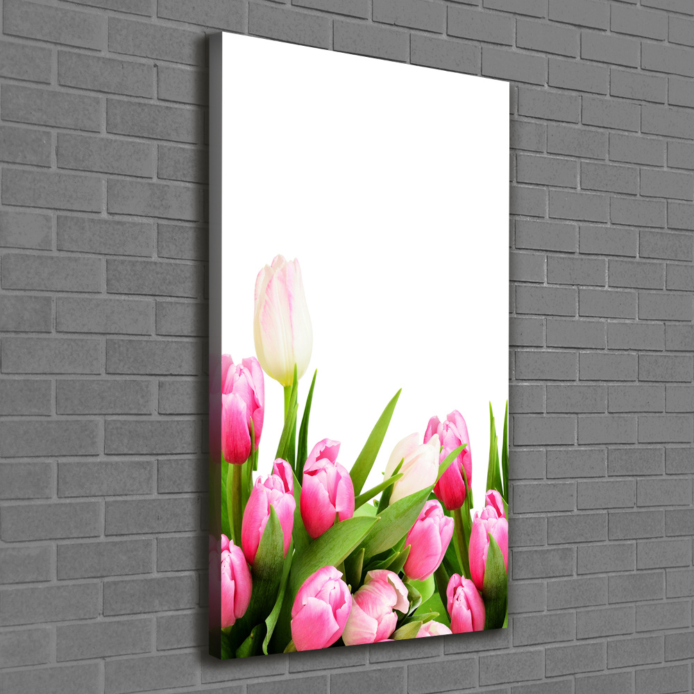 Canvas wall art Pink tulips