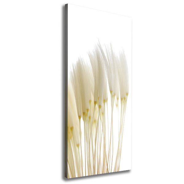 Canvas print Dandelion seeds