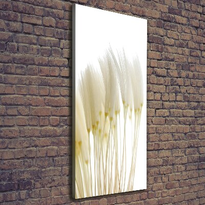 Canvas print Dandelion seeds