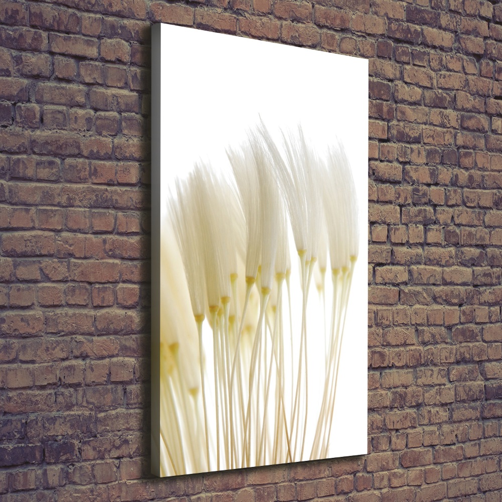 Canvas print Dandelion seeds