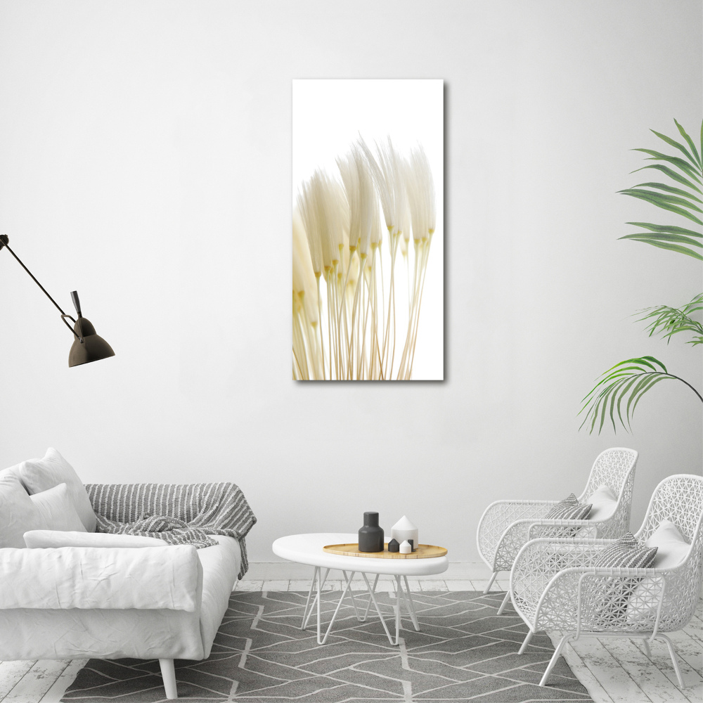 Canvas print Dandelion seeds