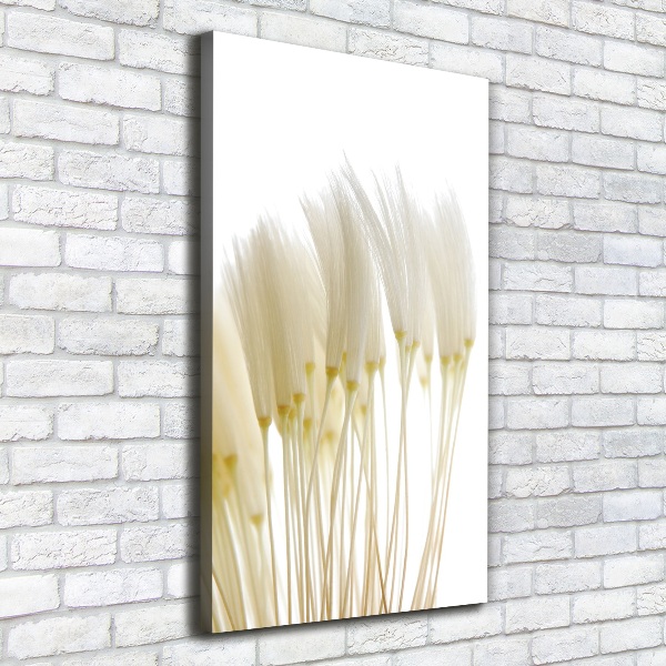 Canvas print Dandelion seeds