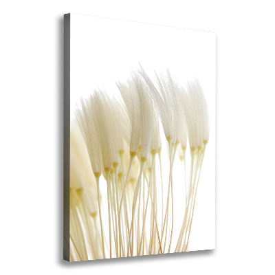 Canvas print Dandelion seeds