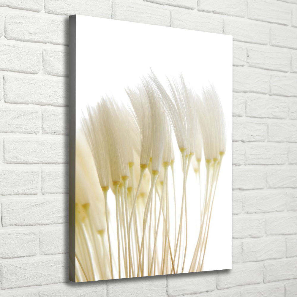 Canvas print Dandelion seeds