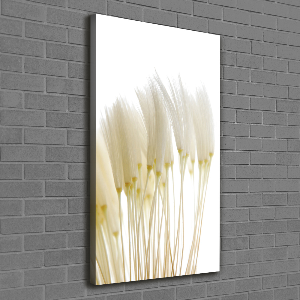 Canvas print Dandelion seeds