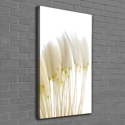 Canvas print Dandelion seeds