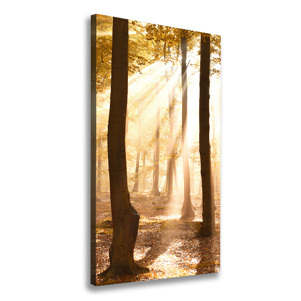 Large canvas wall art Forest in autumn