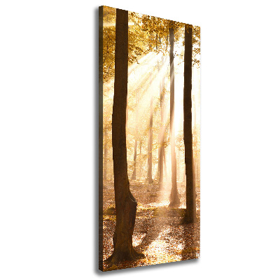 Large canvas wall art Forest in autumn