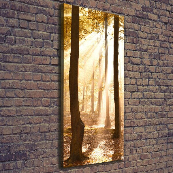 Large canvas wall art Forest in autumn