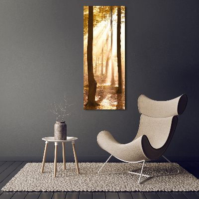 Large canvas wall art Forest in autumn