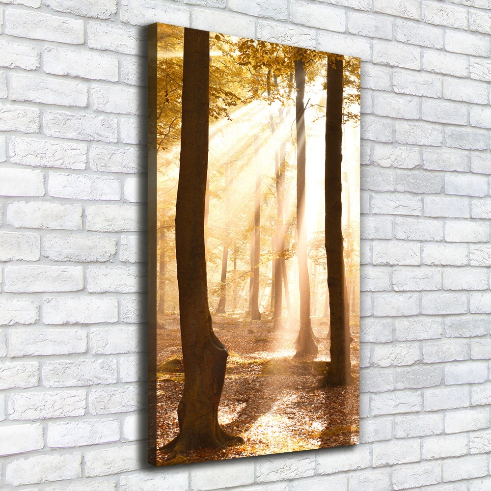 Large canvas wall art Forest in autumn