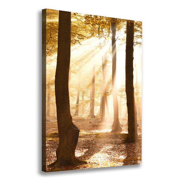 Large canvas wall art Forest in autumn