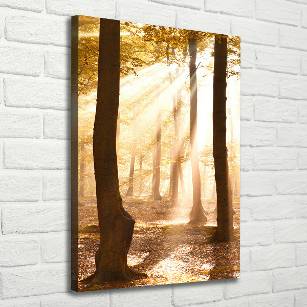 Large canvas wall art Forest in autumn