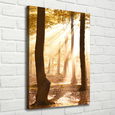 Large canvas wall art Forest in autumn