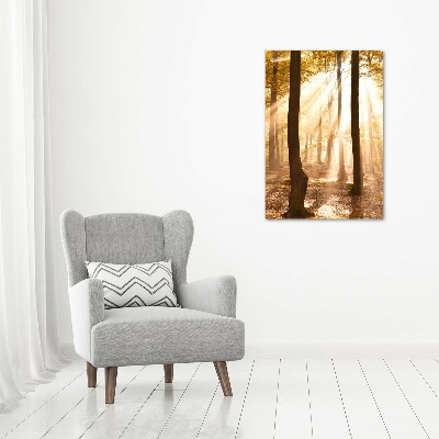 Large canvas wall art Forest in autumn