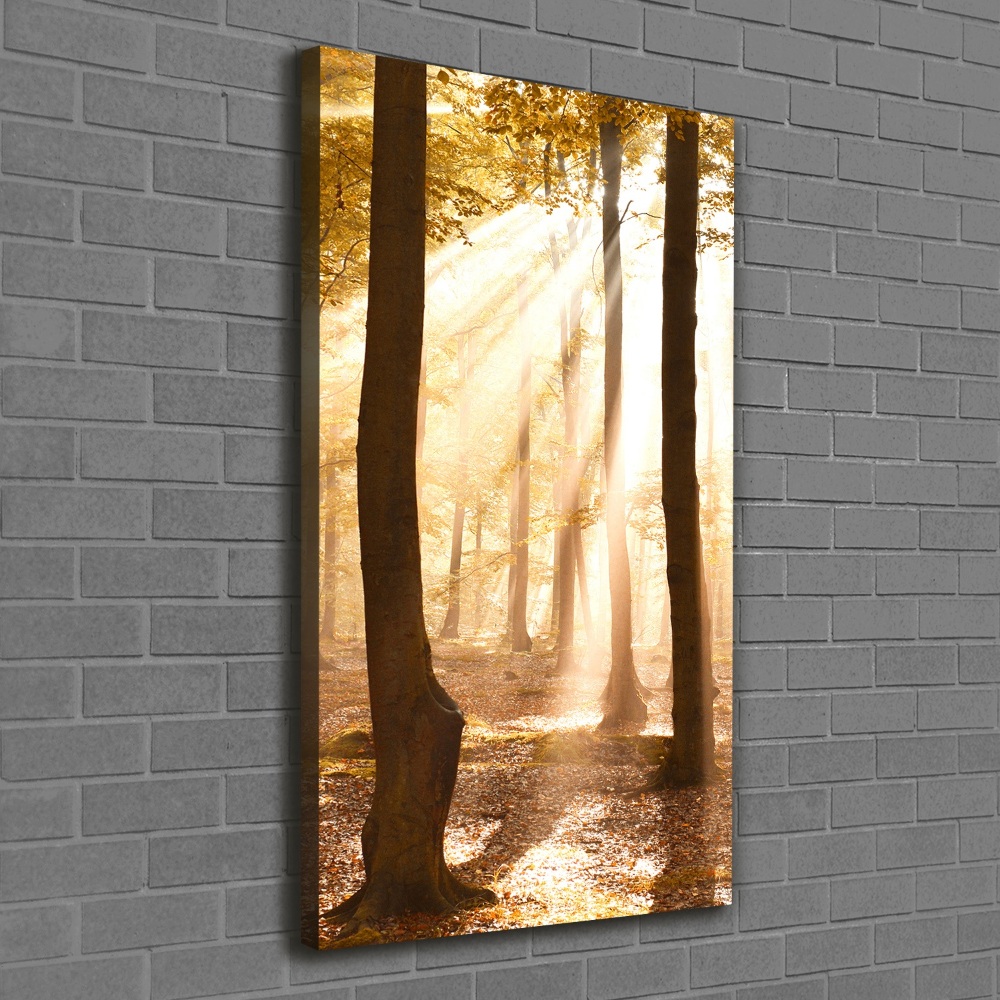 Large canvas wall art Forest in autumn