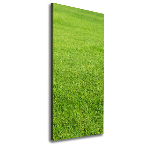 Large canvas wall art green grass