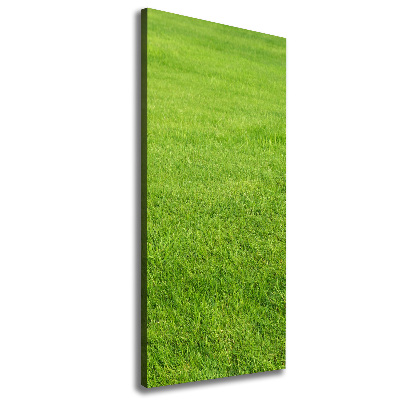 Large canvas wall art green grass