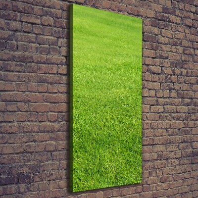 Large canvas wall art green grass