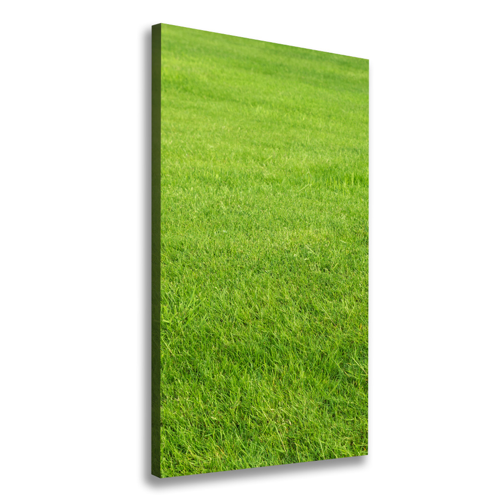 Large canvas wall art green grass