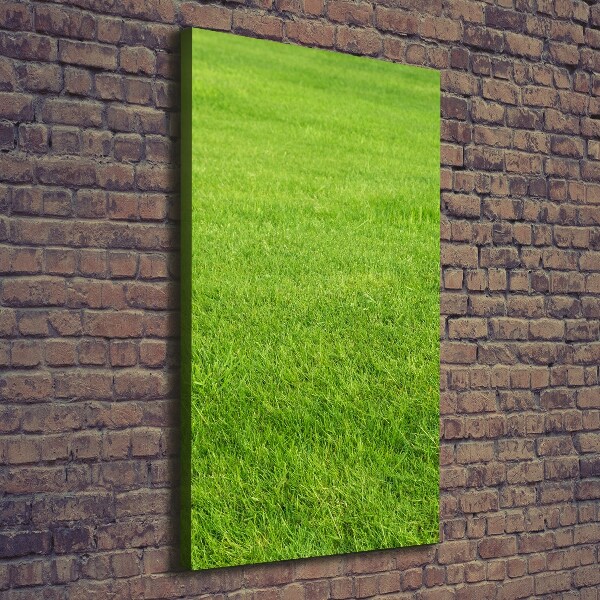 Large canvas wall art green grass