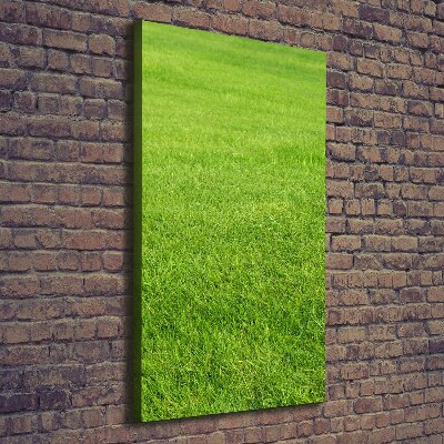 Large canvas wall art green grass