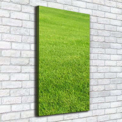 Large canvas wall art green grass