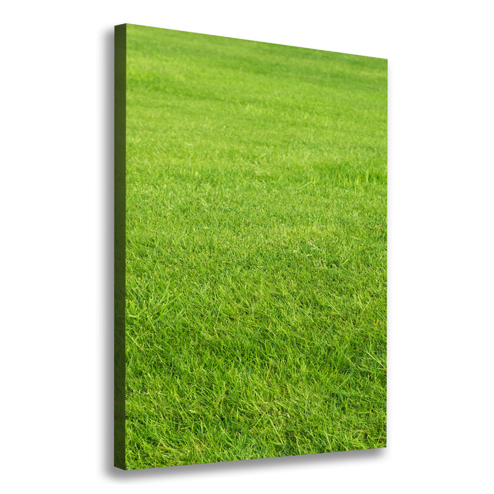 Large canvas wall art green grass