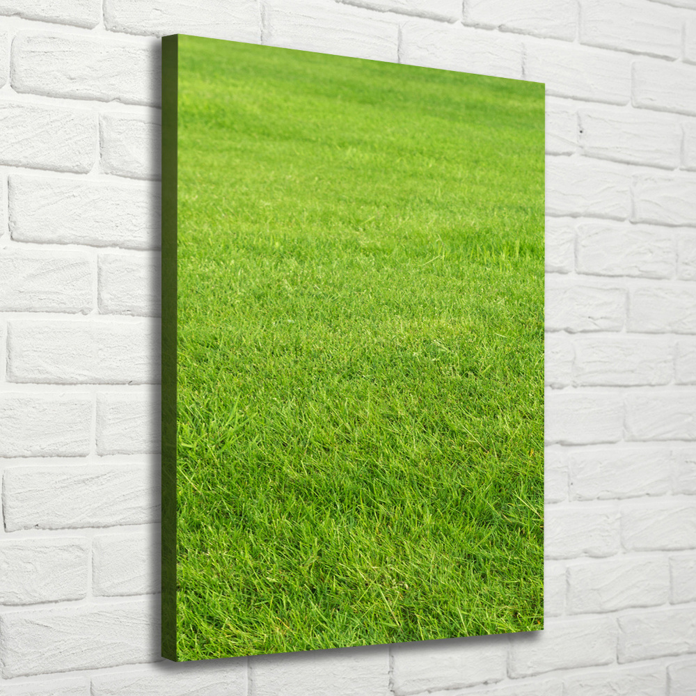 Large canvas wall art green grass