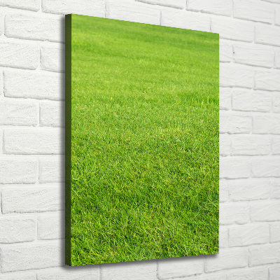 Large canvas wall art green grass