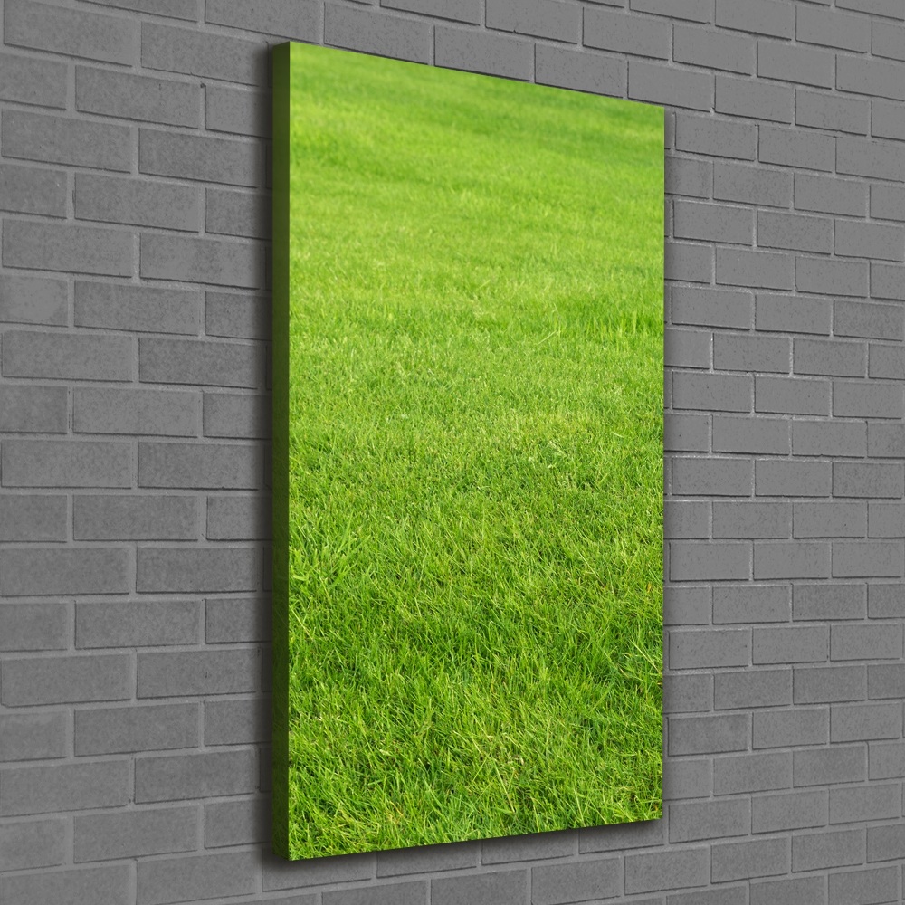 Large canvas wall art green grass