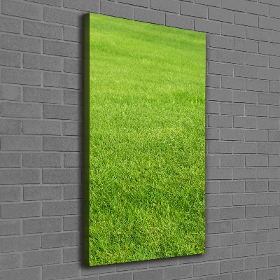 Large canvas wall art green grass