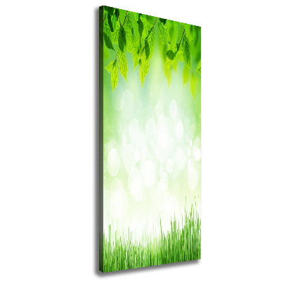 Large canvas wall art Leaves and grass