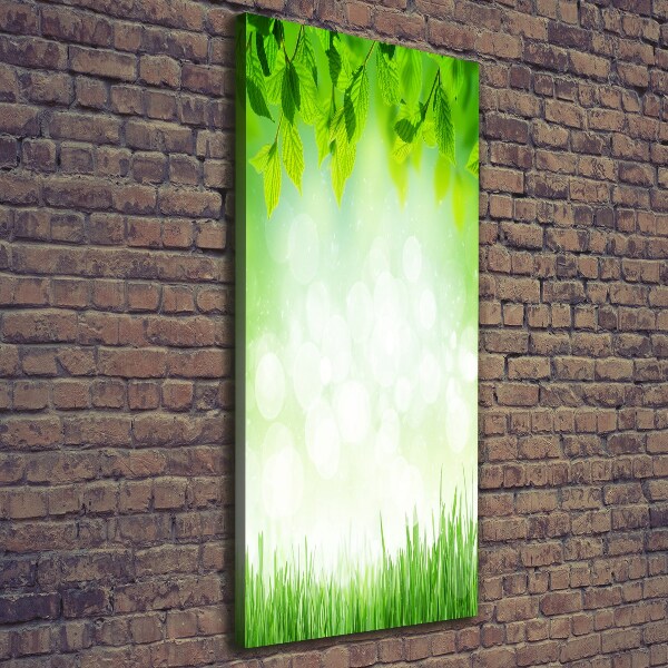 Large canvas wall art Leaves and grass