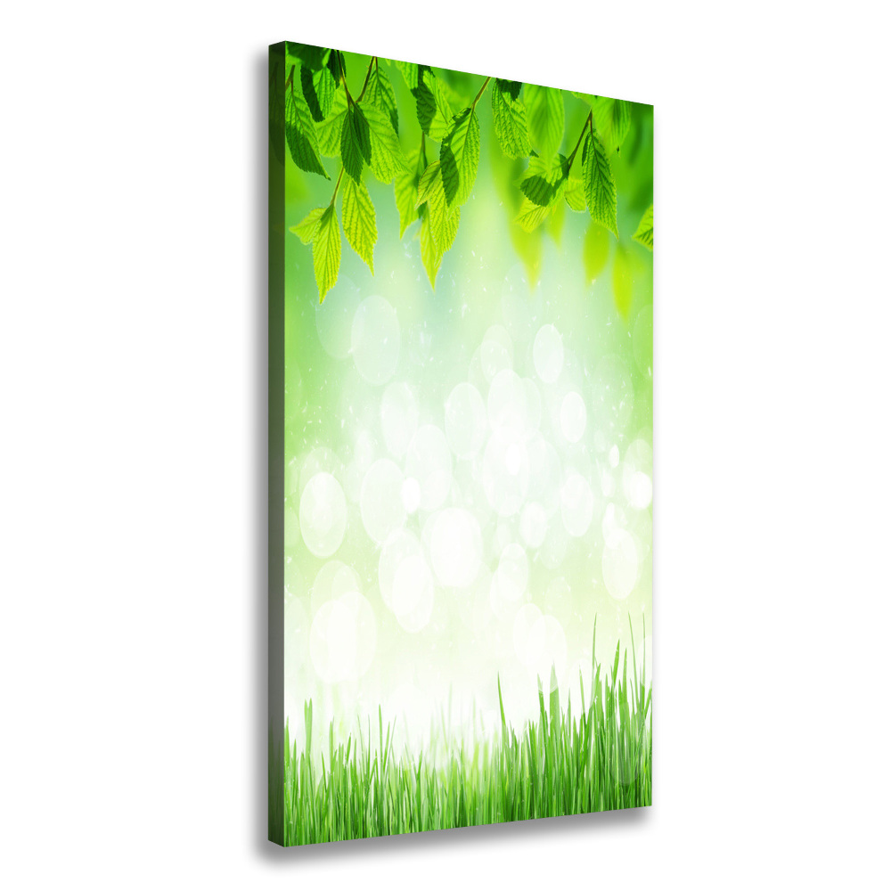 Large canvas wall art Leaves and grass