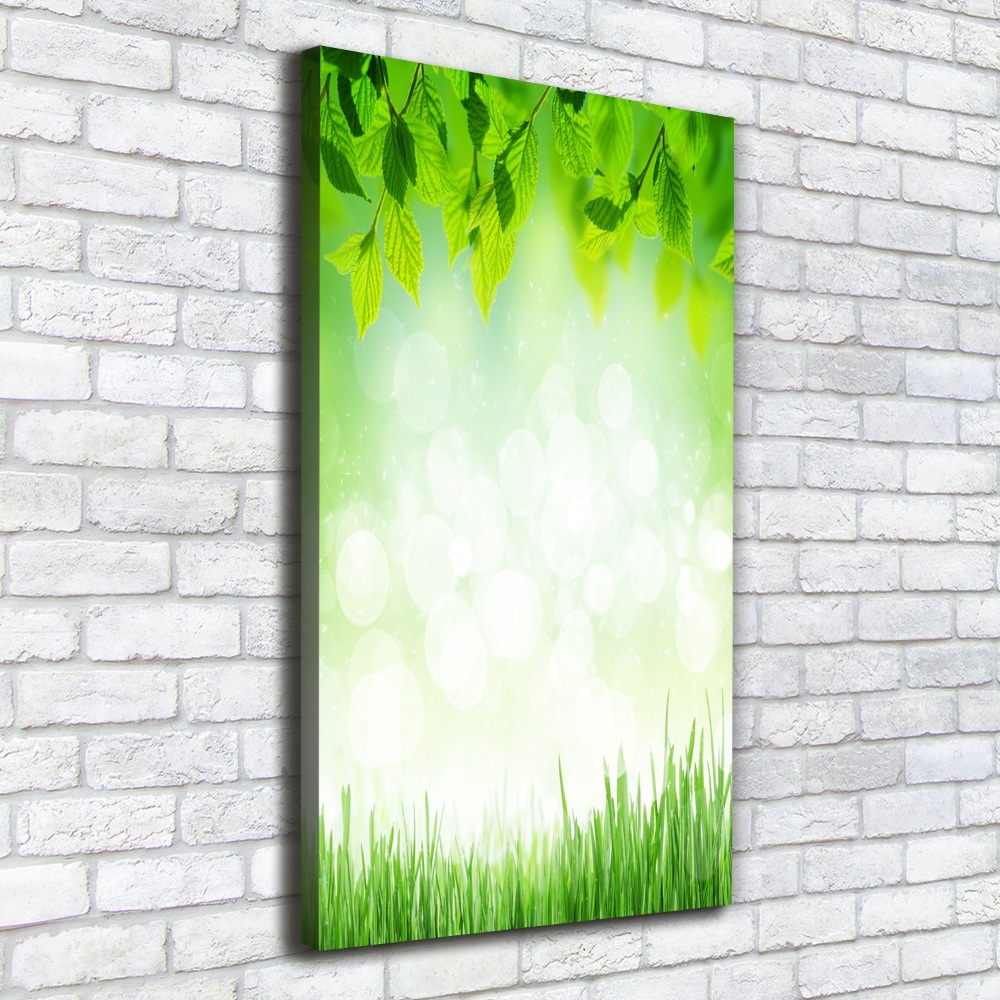 Large canvas wall art Leaves and grass