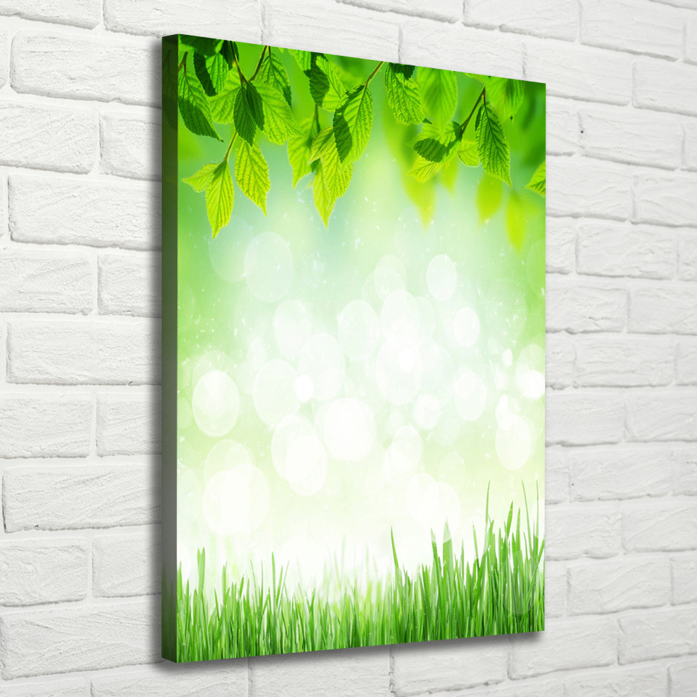 Large canvas wall art Leaves and grass