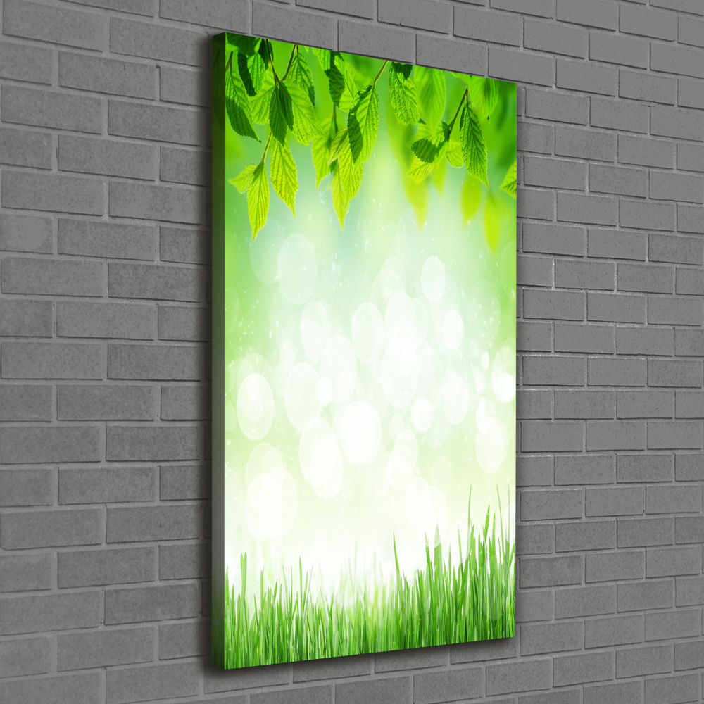 Large canvas wall art Leaves and grass