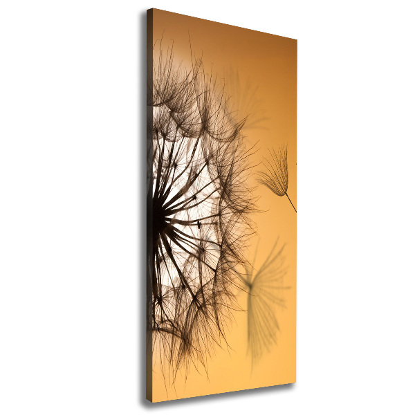 Canvas print Dandelion