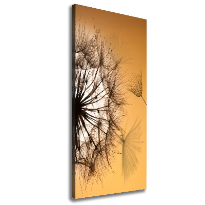 Canvas print Dandelion