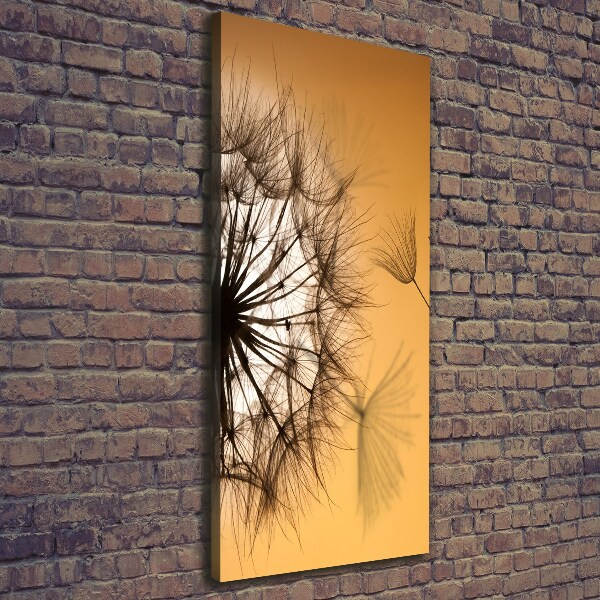 Canvas print Dandelion