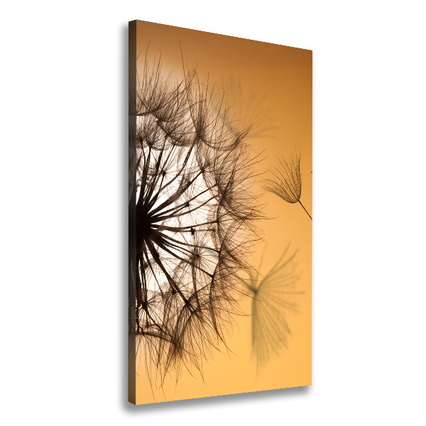 Canvas print Dandelion